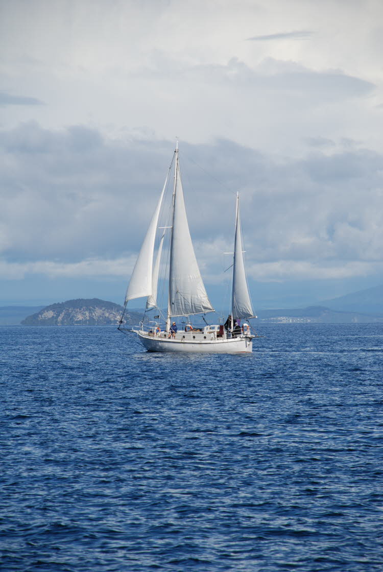 DSC_0466