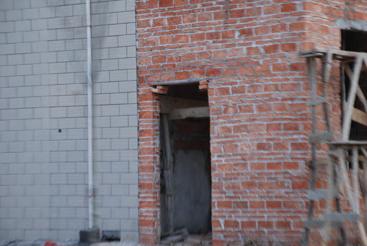 DSC_0805