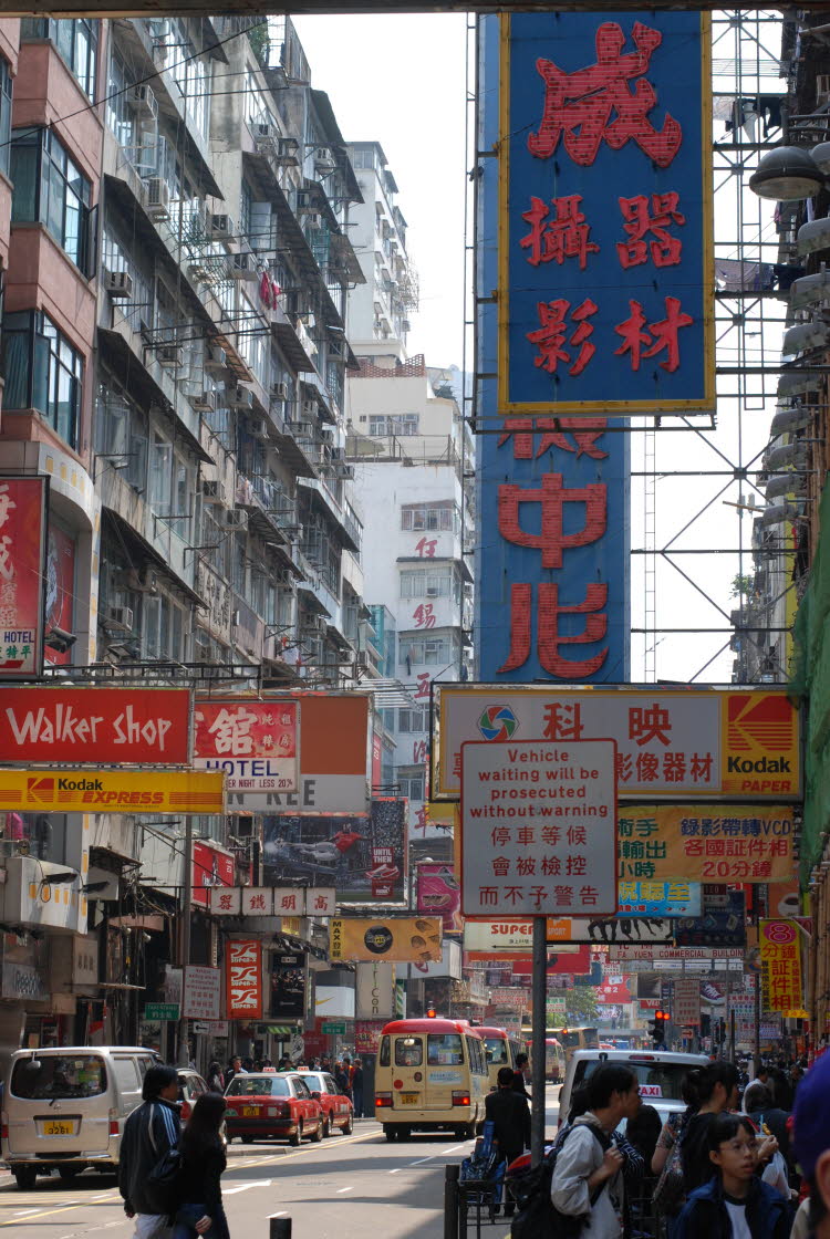 DSC_0831
