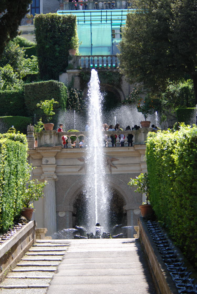 DSC_1001