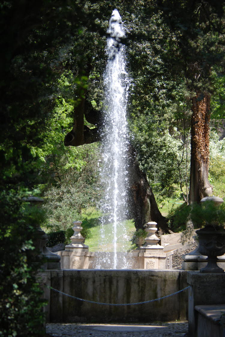 DSC_1024