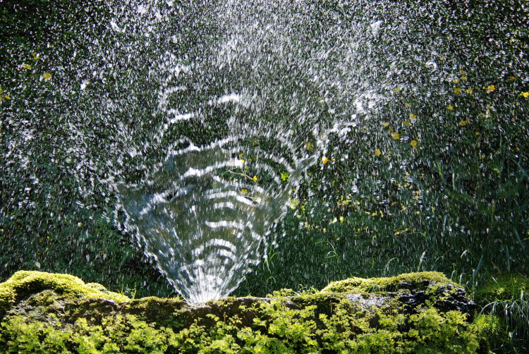 DSC_1026