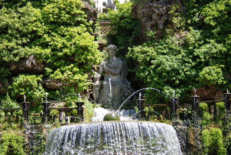 DSC_1046