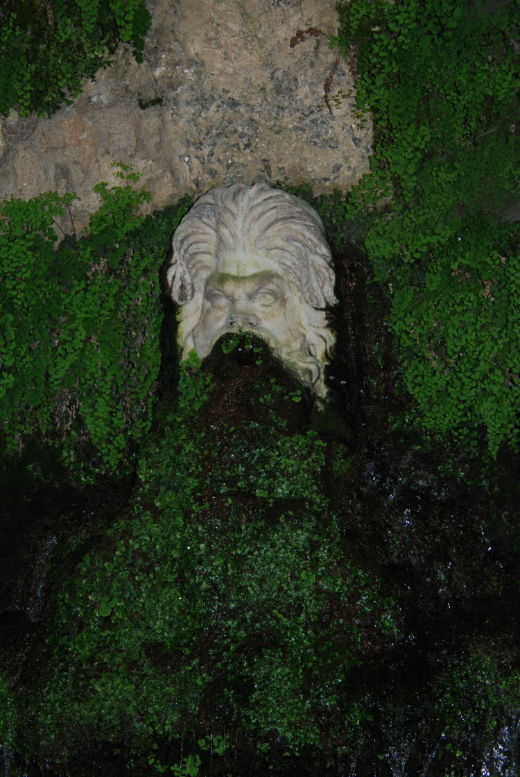 DSC_1047