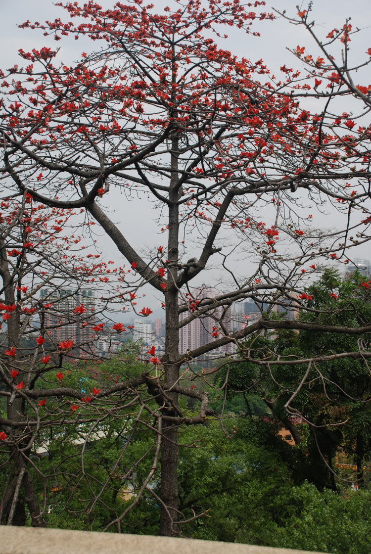 DSC_1114
