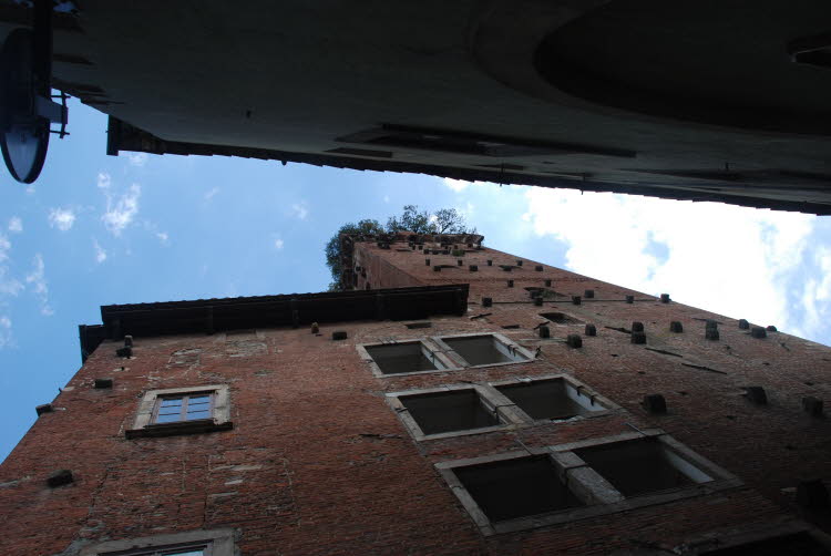 DSC_1185