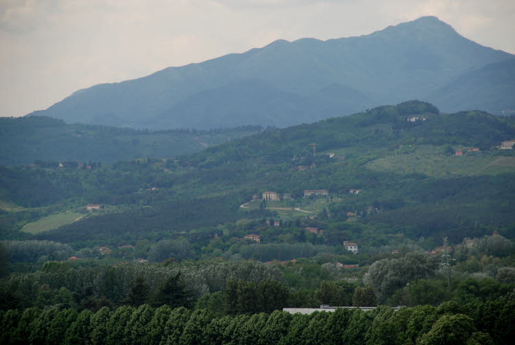 DSC_1195