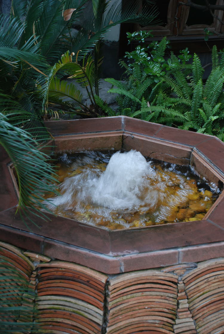 DSC_1228