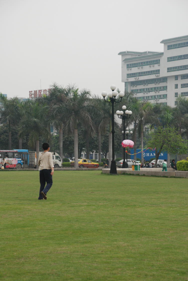 DSC_1250