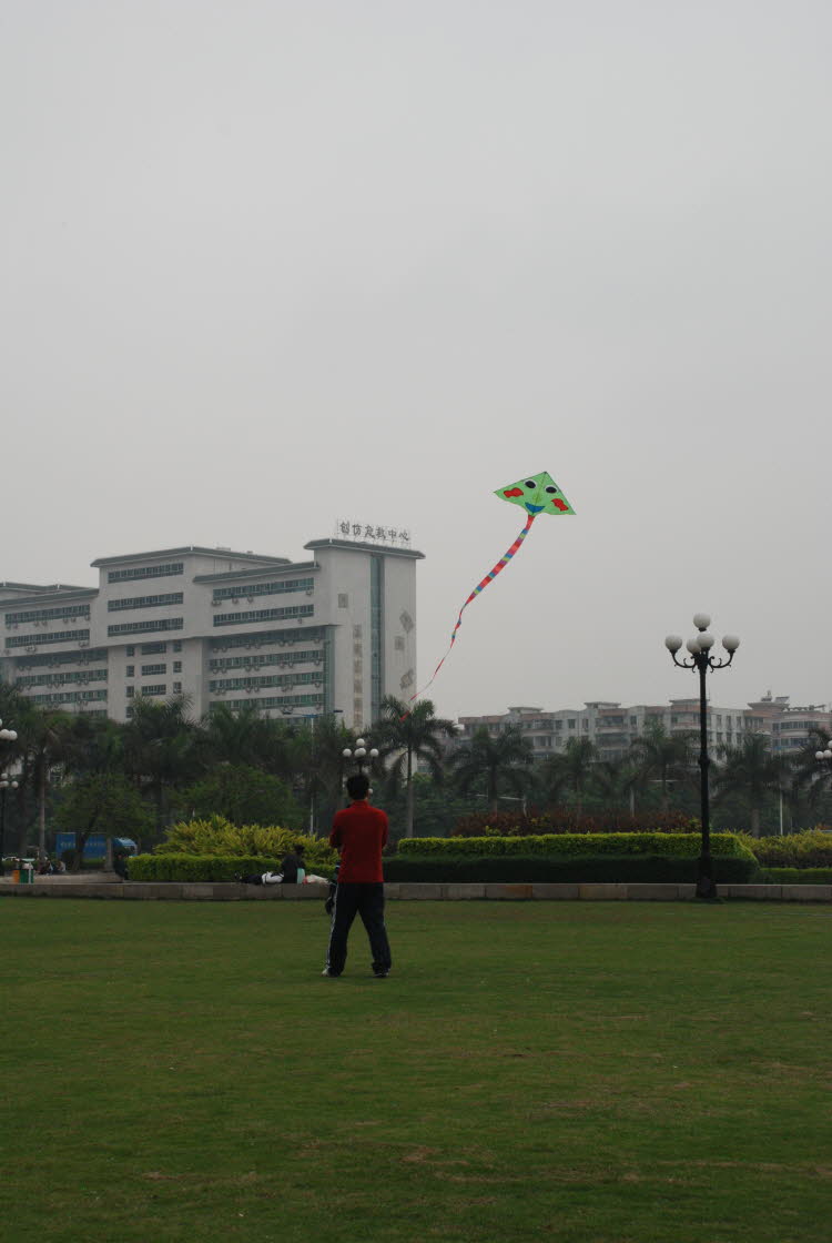 DSC_1253