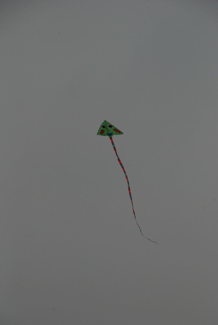 DSC_1255