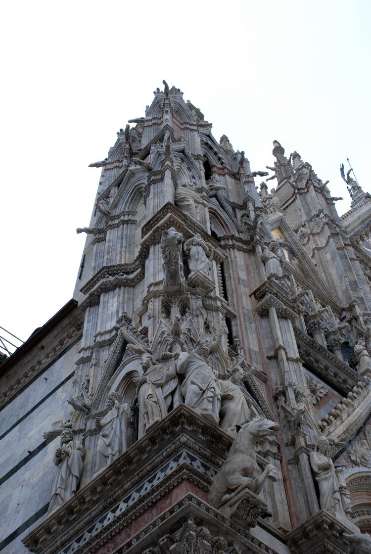 DSC_1308