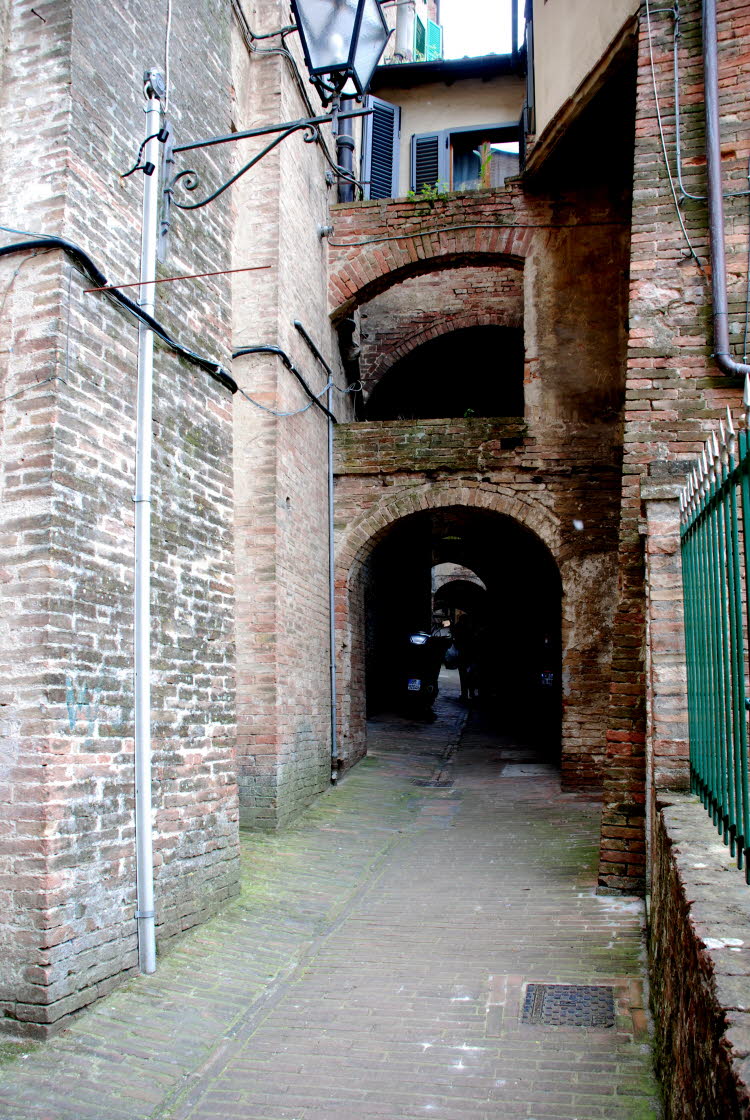 DSC_1346