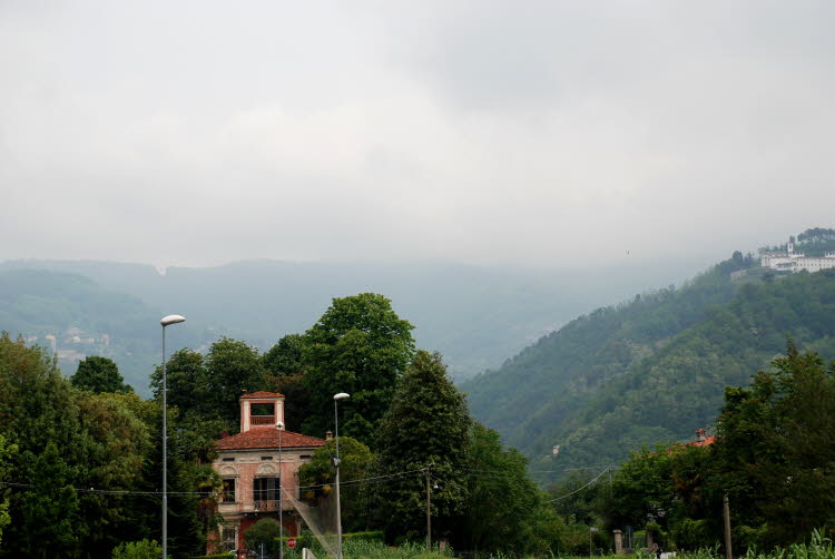 DSC_1597