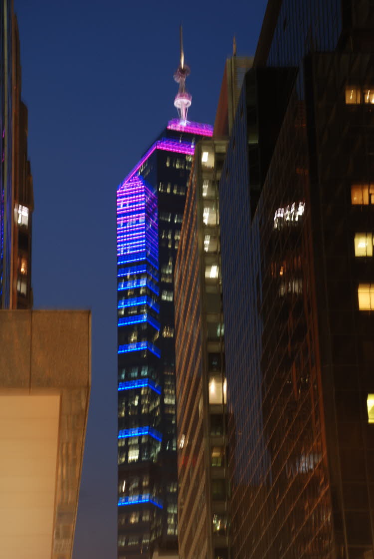 DSC_1699