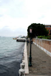 DSC_1881
