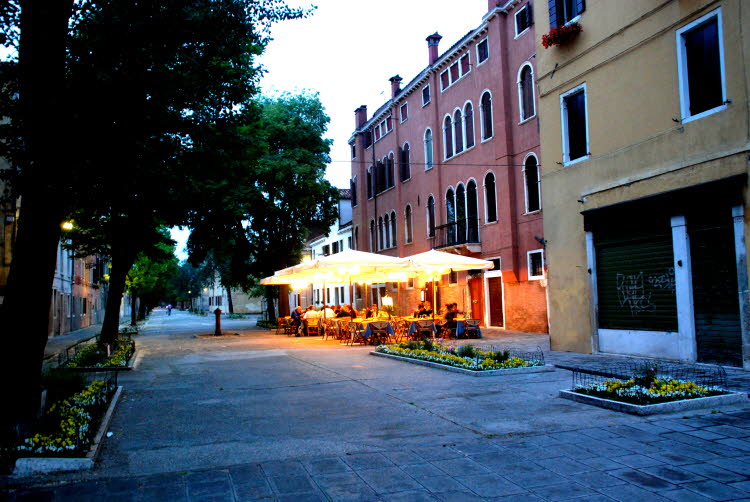 DSC_2010
