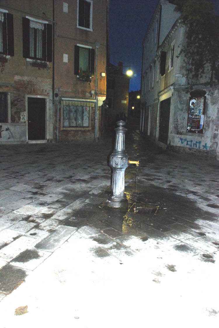 DSC_2011