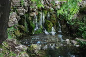 DSC_2648