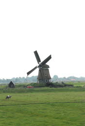 DSC_3208