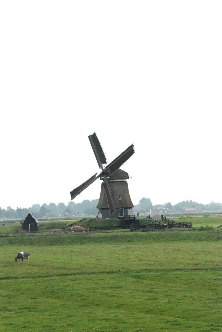 DSC_3208