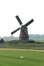 DSC_3209