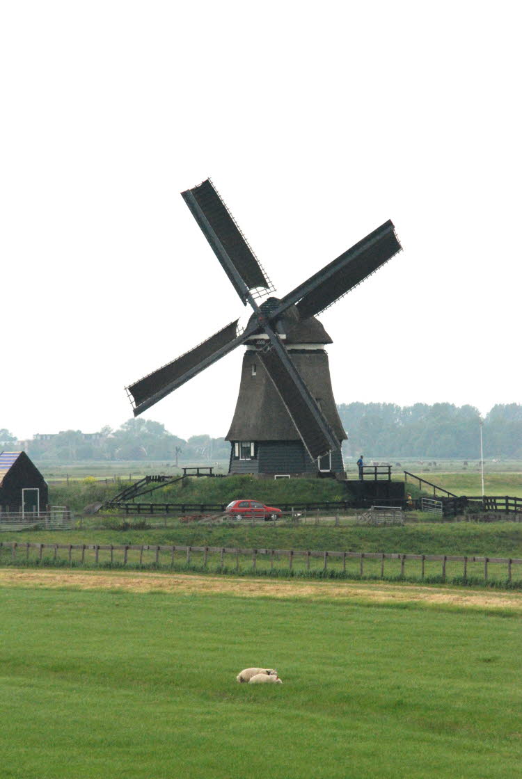 DSC_3209