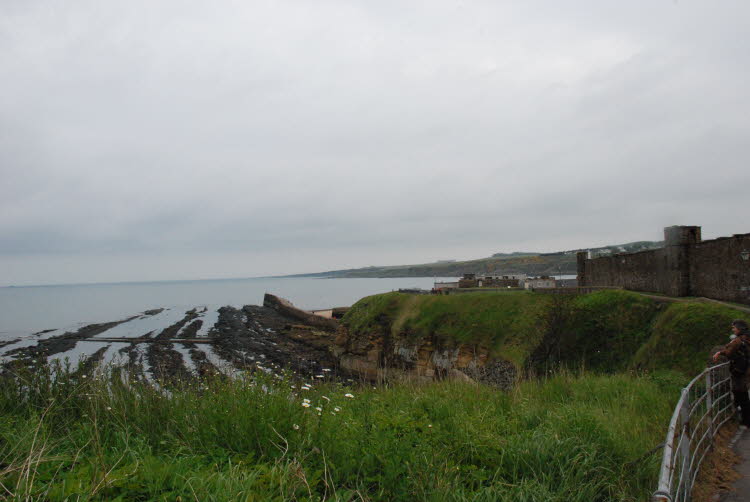 DSC_3472
