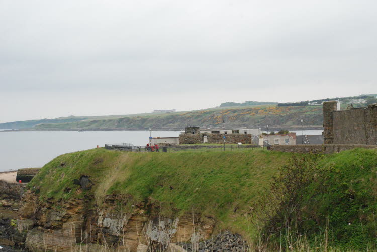 DSC_3473