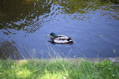 E23_3968_Small