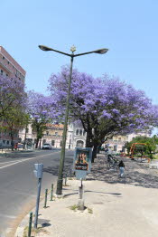 From the Bus 01