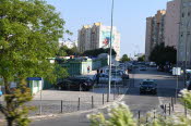 From the Bus 12