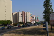 From the Bus 13