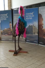 IMG_20220927_1115181 - Copy