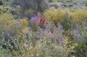 IMG_20220927_1613393