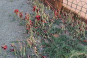 IMG_20220927_1614422