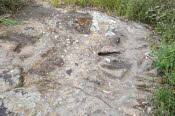 IMG_20221006_1440250