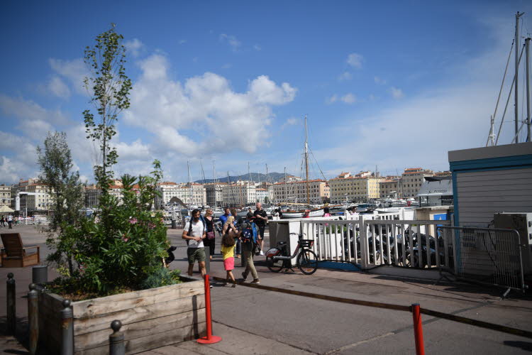 Near the Docks 16
