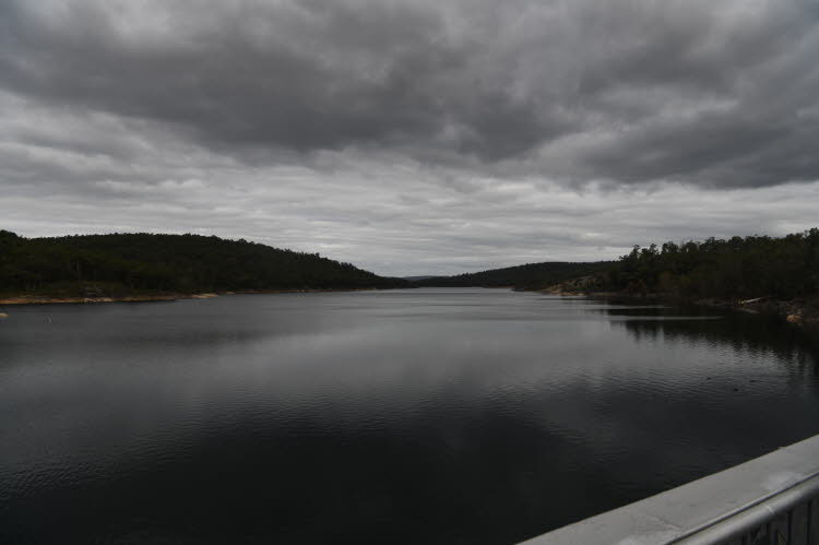 P23_2917