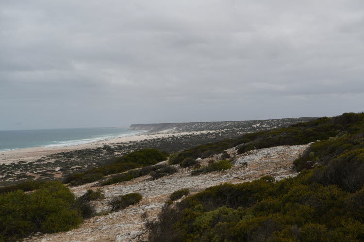 P23_3231