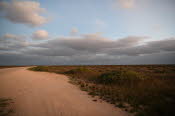 P23_3253