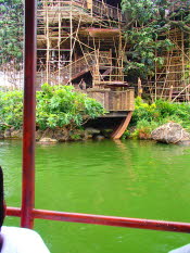 P4250088