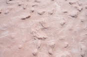 Pink Salt