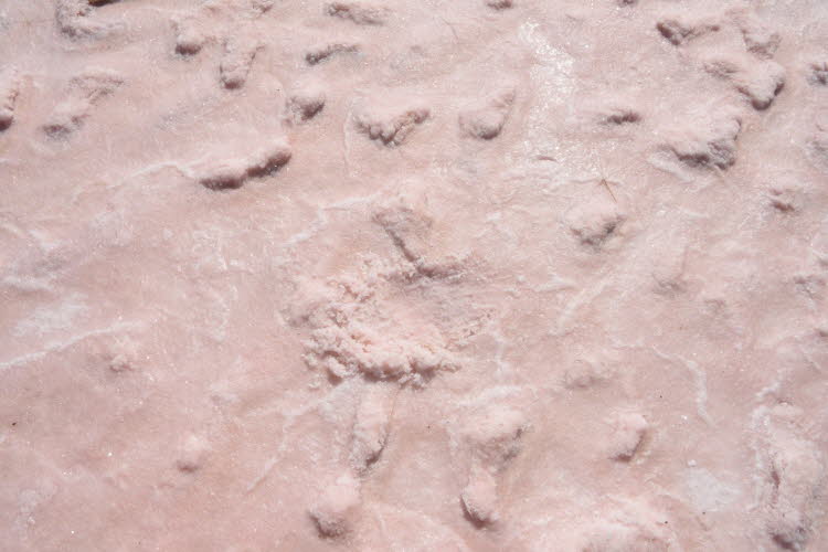 Pink Salt