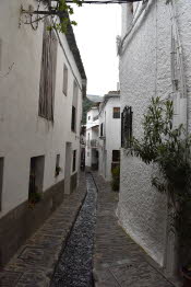 SPN_2164_SMALL