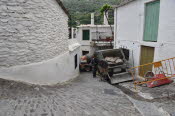 SPN_2175_SMALL