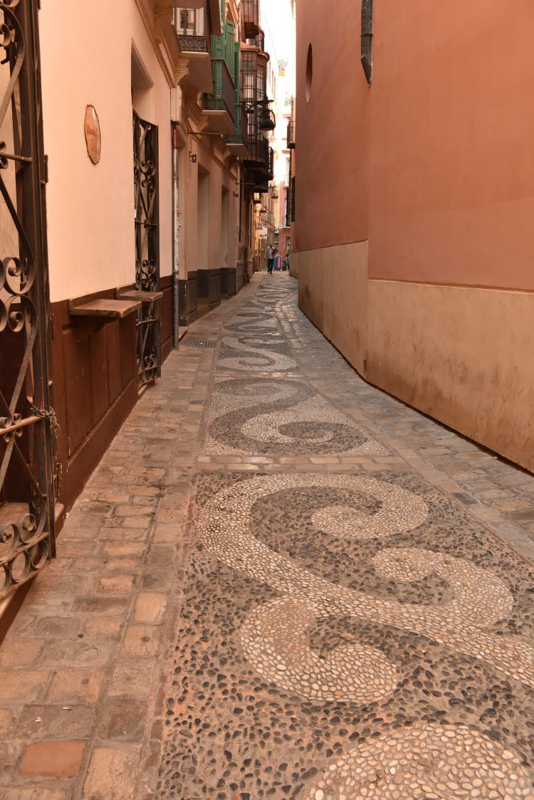 SPN_2321_SMALL
