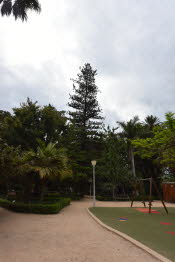 SPN_2385_SMALL