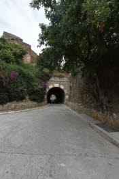SPN_2415_SMALL