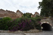 SPN_2416_SMALL